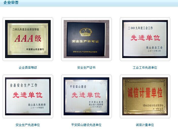 公司荣誉